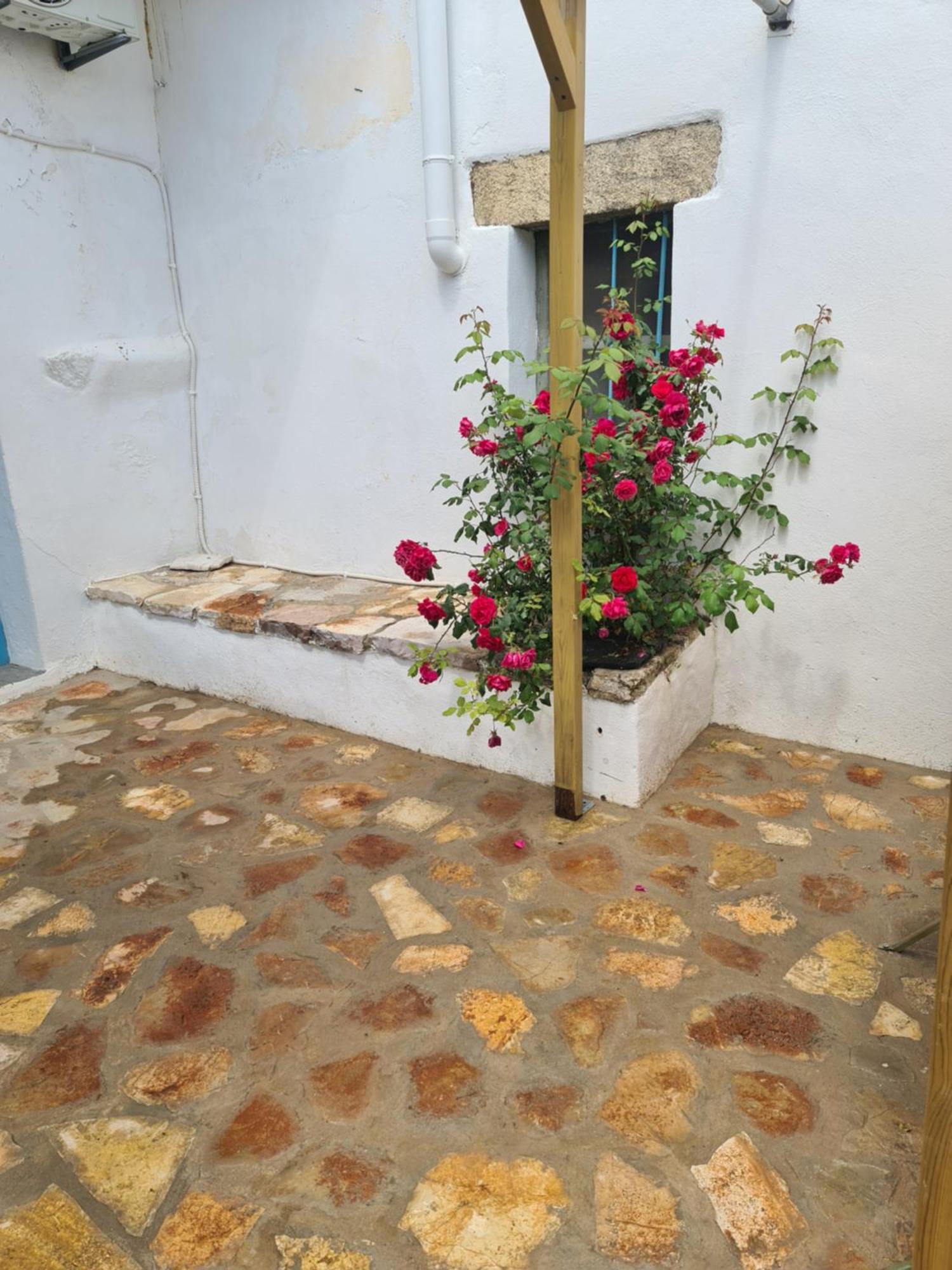 Apartament Kamaraki Grande Aroniadika Kýthira Zewnętrze zdjęcie